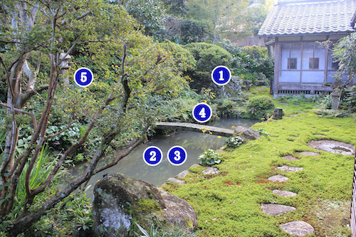 庭園1